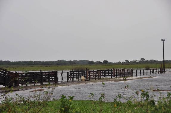 As águas estão altas no entorno da estrada-parque do Pantanal Sul, na região de Corumbá, no Mato Grosso do Sul